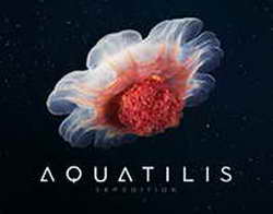 У инвесторов появятся Цифровые привычки // Компания может привлечь до 1 млрд рублей