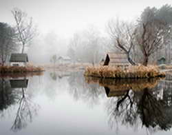 Алаудинов: В НАТО более полугода готовили операцию ВСУ в Курской области