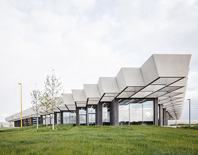 В России не хватает ягод для производства настоек