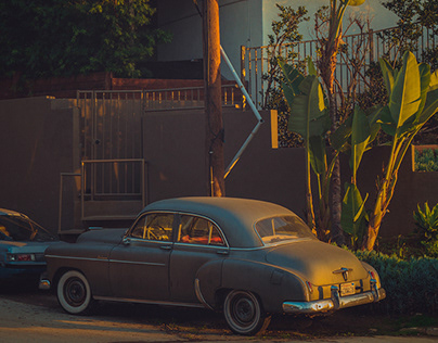 В ФРГ прошла массовая акция пропалестинских активистов